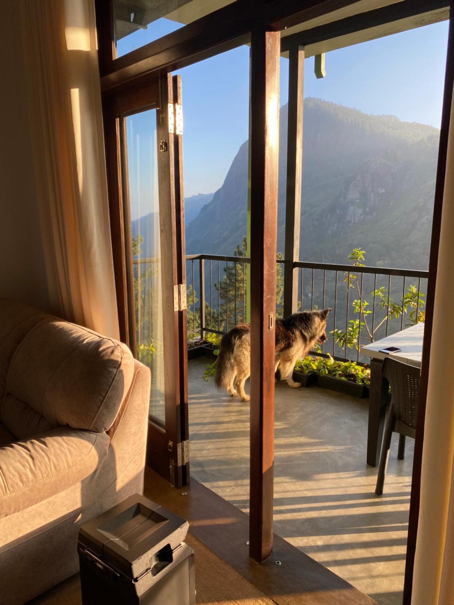 Star Gaze Lodge Элла Экстерьер фото